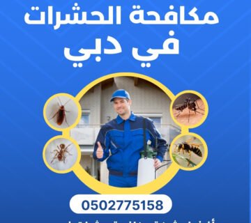أفضل شركة مكافحة حشرات في دبي
