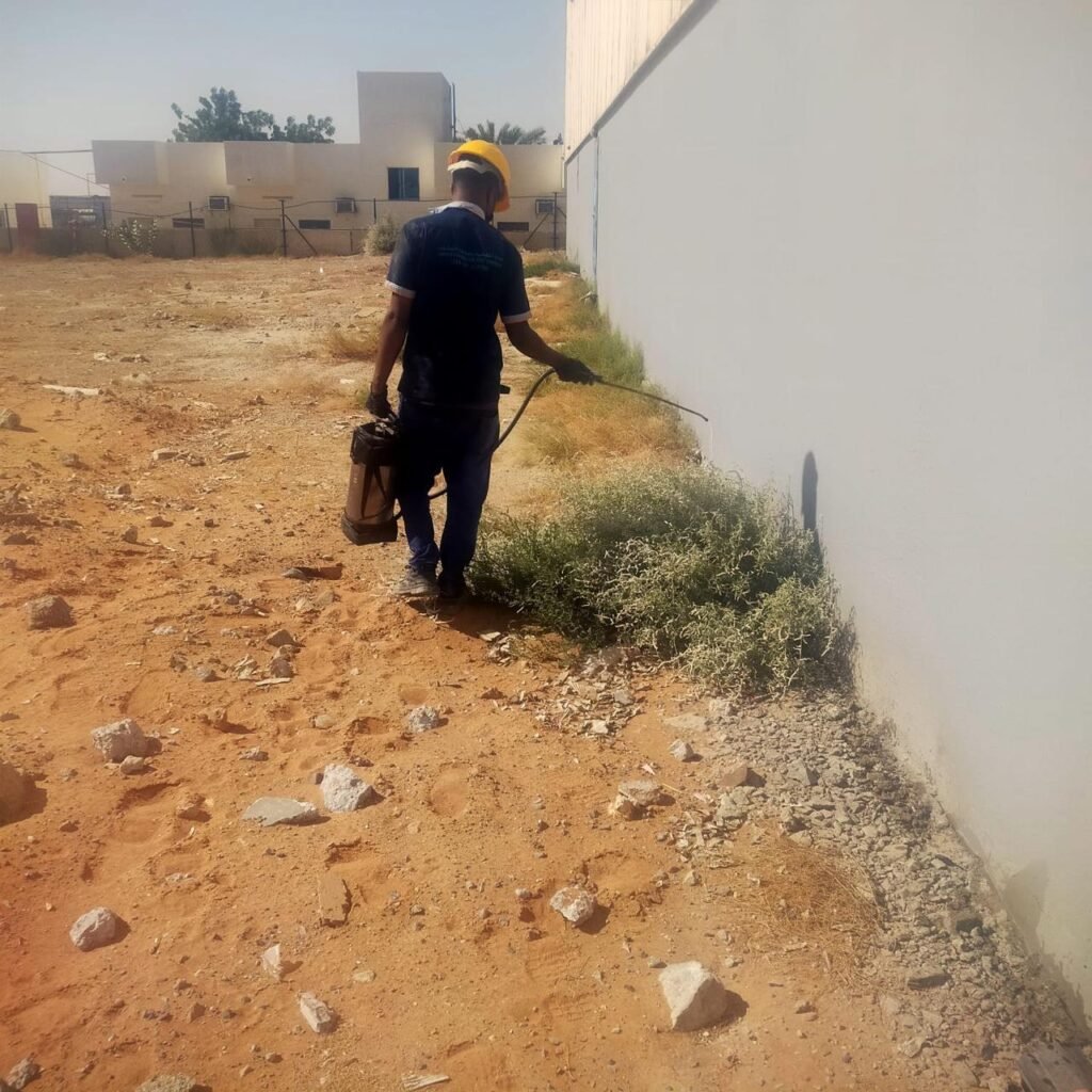 أمانة لمكافحة الحشرات بالإمارات 149