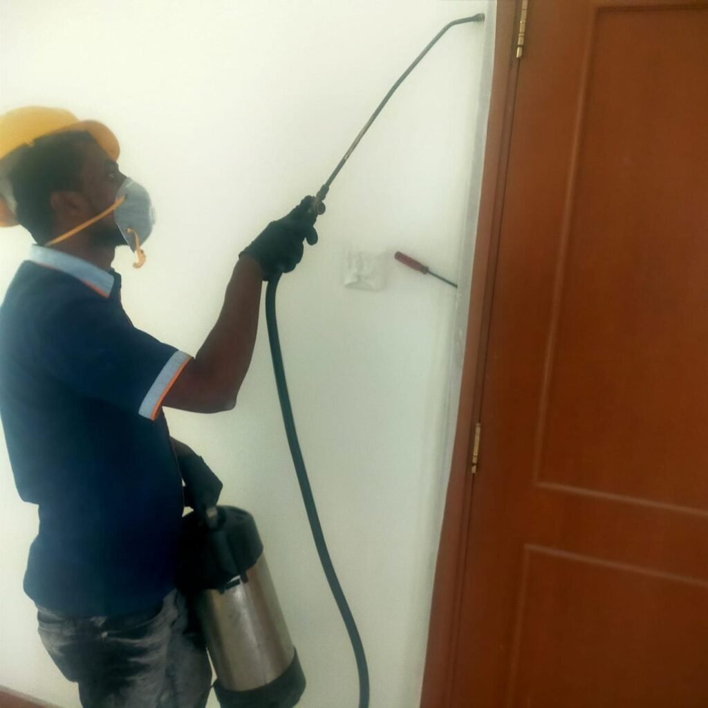أمانة لمكافحة الحشرات بالإمارات 87