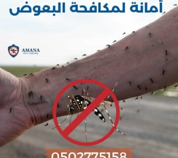 افضل الطرق للتخلص من البعوض