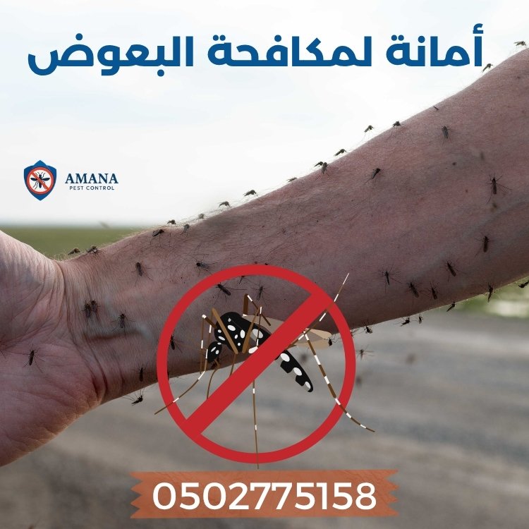 افضل الطرق للتخلص من البعوض