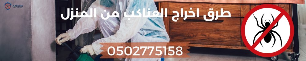 مكافحة العناكب في المنزل - طرق اخراج العناكب من المنزل 2 طرق اخراج العناكب من المنزل