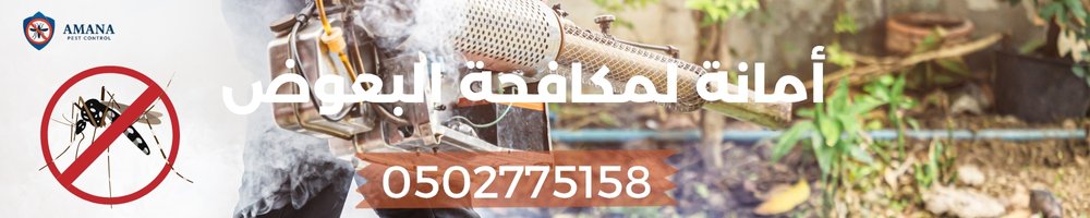 افضل الطرق للتخلص من البعوض 5 طرق الوقاية من الناموس