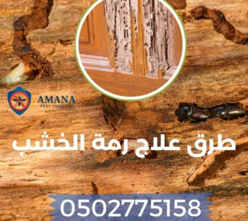 طرق علاج رمة الخشب