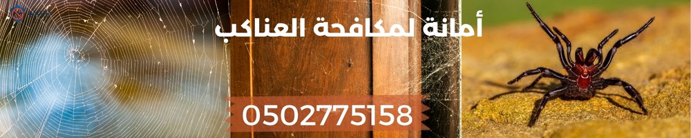 أقوى شركات مكافحة الحشرات في الامارات 5 كيف أتخلص من العناكب نهائيا؟