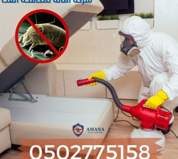 طريقة التخلص من العث في المنزل