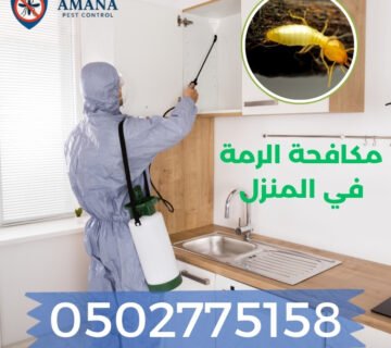 خطوات مكافحة الرمة في المنزل