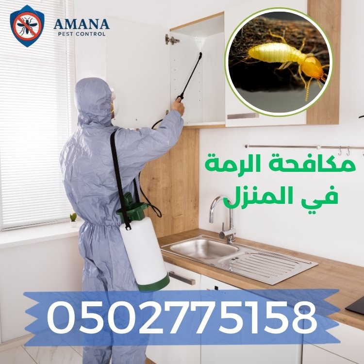 خطوات مكافحة الرمة في المنزل