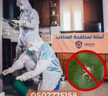مكافحة العناكب في المنزل