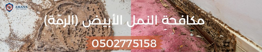 ما هي أفضل طرق التخلص من الرمة نهائياً؟ 4 أمانة لمكافحة الحشرات في الإمارات
