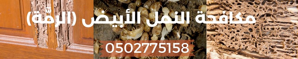 مكافحة الرمة في المنزل 2 مكافحة النمل الأبيض الرمَّة
0502775158