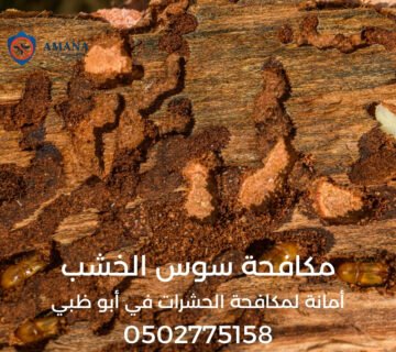 مكافحة سوس الخشب في أبوظبي