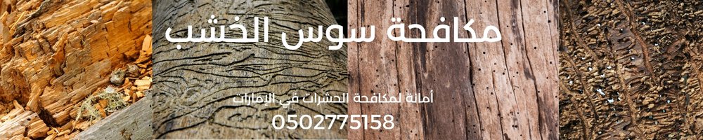 مكافحة سوس الخشب في أبوظبي 3 مكافحة سوس الخشب