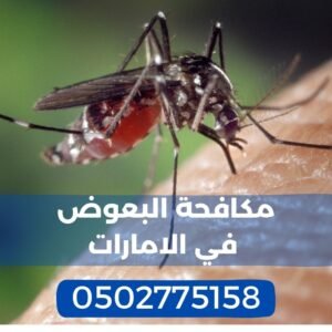 الرئيسية 15 مكافحة البعوض في الامارات - مكافحة البعوض في راس الخيمة