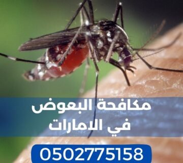 مكافحة البعوض في الامارات - مكافحة البعوض في راس الخيمة