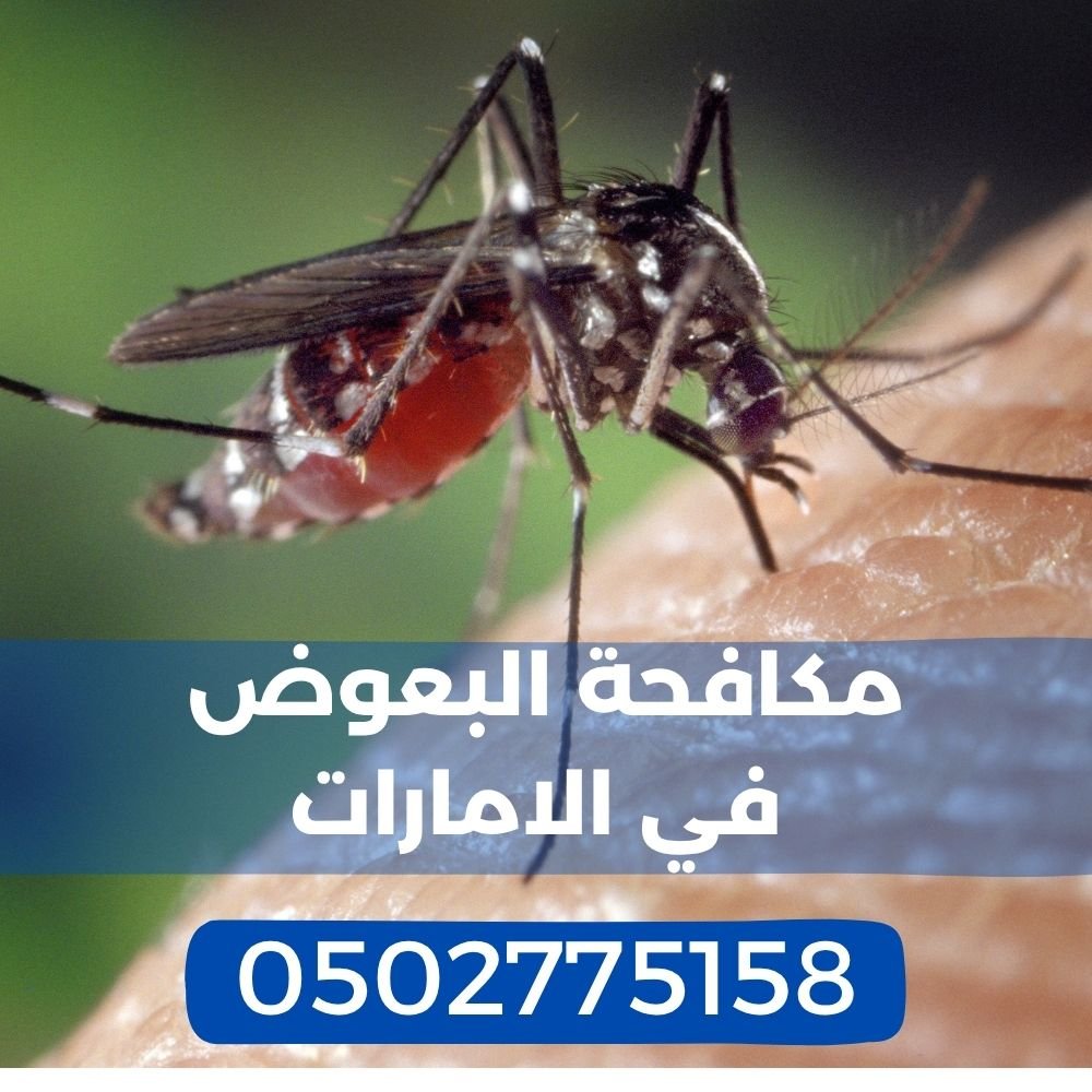 مكافحة البعوض في الامارات - مكافحة البعوض في راس الخيمة